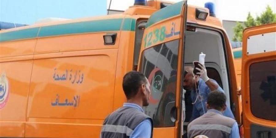 ضبط شقيقين حاولا إنهاء حياة نجل عمومتهما بجهينة - بوابة نيوز مصر