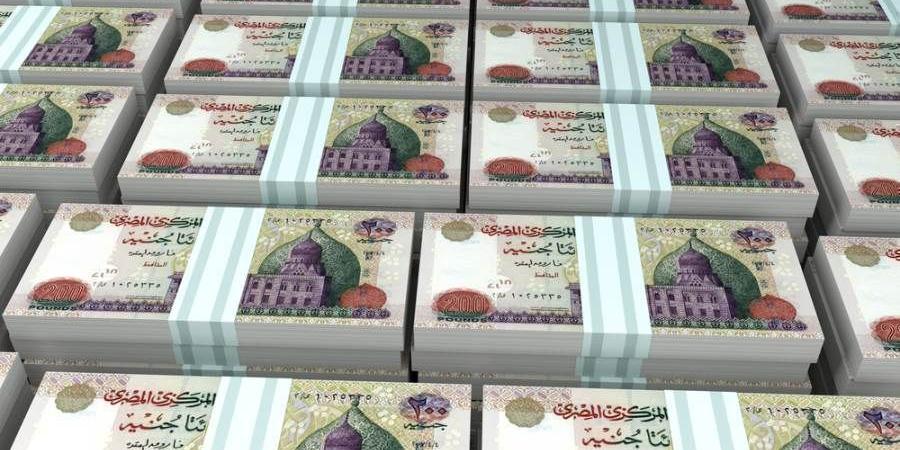 البنك الأهلى يستحوذ على 36.9% من إجمالى أصول القطاع المصرفى بنهاية 2023 - بوابة نيوز مصر