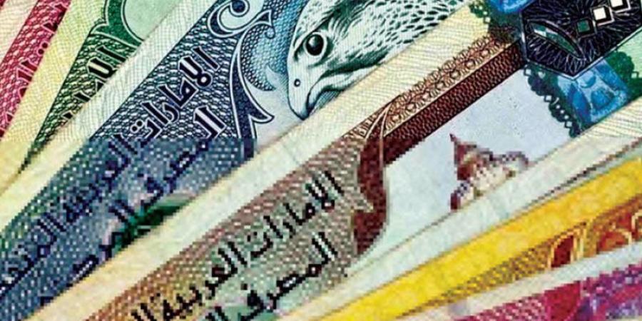 سعر الدرهم الإماراتي أمام الجنيه اليوم الأحد 22 سبتمبر 2024 - بوابة نيوز مصر