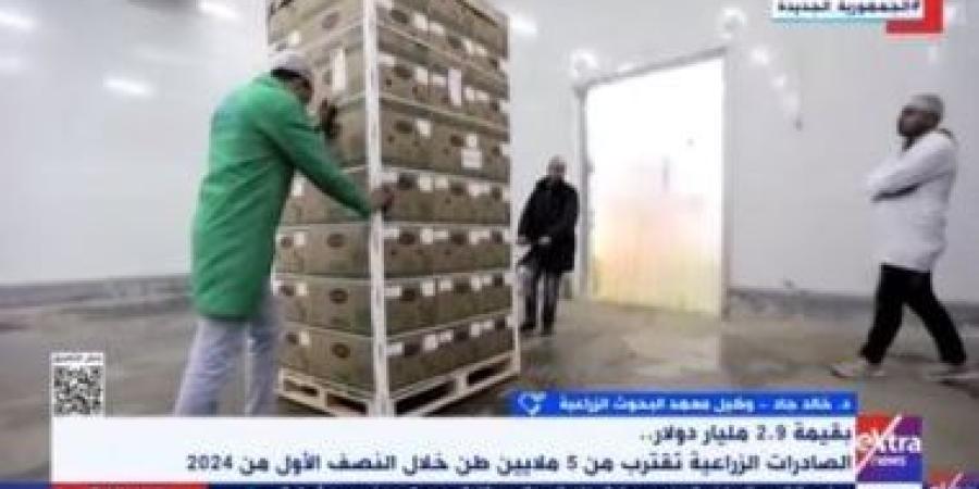 البحوث الزراعية: منتجاتنا ذات جودة عالية ومطلوبة فى أغلب الأسواق العالمية - بوابة نيوز مصر