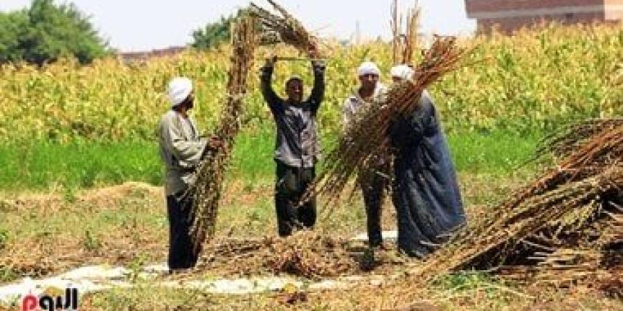 4 مهام رئيسية لوزارة الزراعة فى دعم الفلاح.. تعرف عليها - بوابة نيوز مصر