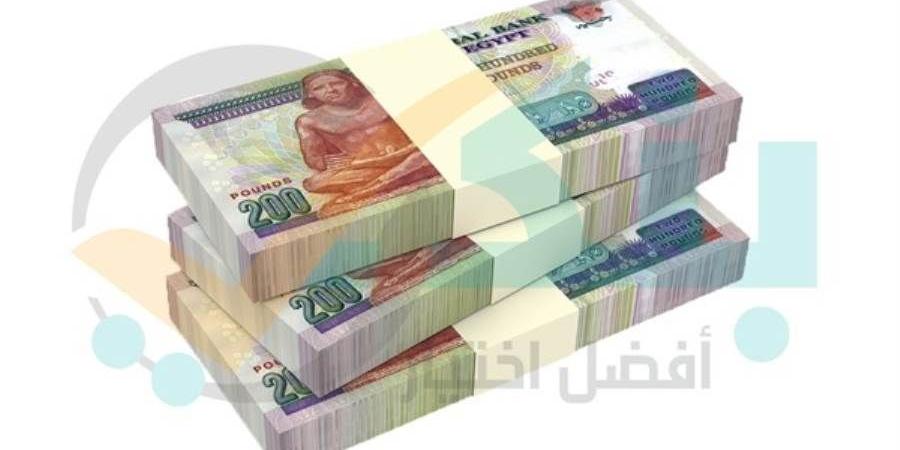 البنك الأهلى يستحوذ على 36.7% من ودائع القطاع المصرفى بنهاية 2023 - بوابة نيوز مصر