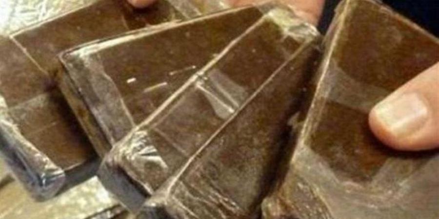 ضبط عامل ونجار وبحوزتهما 300 قطعة حشيش و15 لفافة شابو في سوهاج - بوابة نيوز مصر