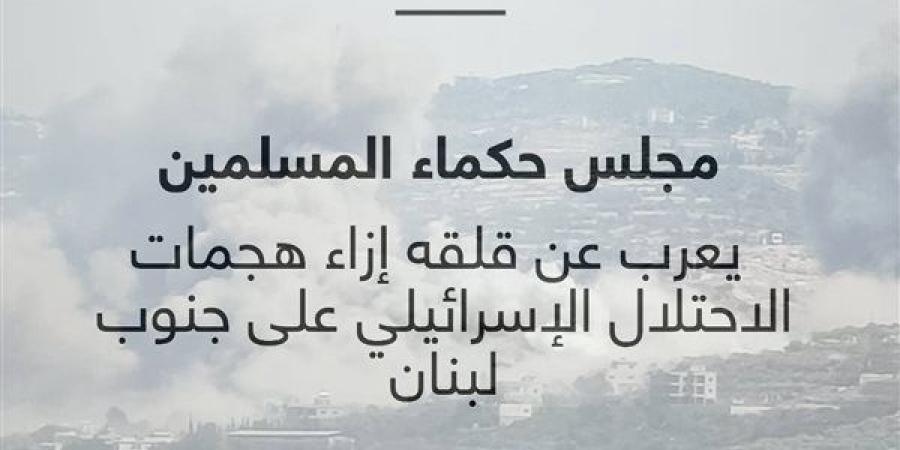 حكماء المسلمين يعرب عن قلقه إزاء هجمات الاحتلال على جنوب لبنان - بوابة نيوز مصر