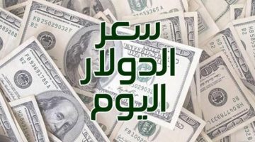 بيع وشراء.. سعر الدولار أمام الجنيه اليوم الأربعاء 12 يونيو في البنوك آخر تحديث