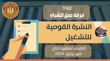 وزارة العمل تعلن عن توافر فرص عمل في جميع التخصصات بـ 12 محافظة.. الراتب فوق الـ10 آلاف جنيه
